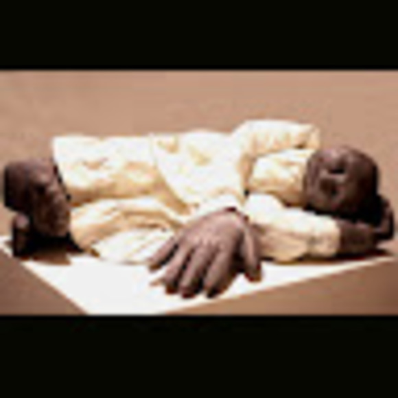 Meet your Posher, Ann - Picture 1 of 1